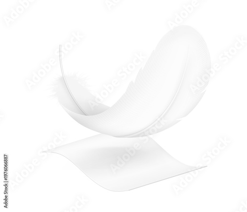Bird feather with layer of material mockup. Symbol for indicating that a product is lightweight, soft, gentle, hypoallergenic and etc. Hight realistic vector illustration isolated on white backgrounds