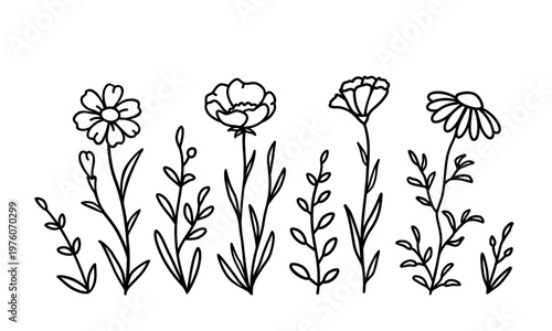 Floral botanical bundle, wildflowers and flowers