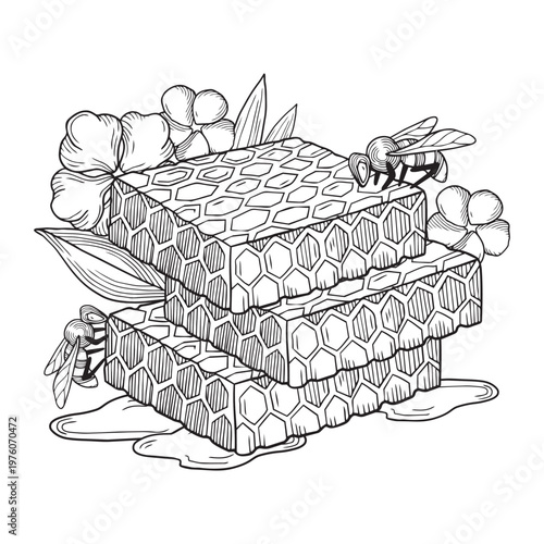 Hand-drawn graphic detailed composition with honeycombs and bees and field wild flowers isolated on white background for packaging