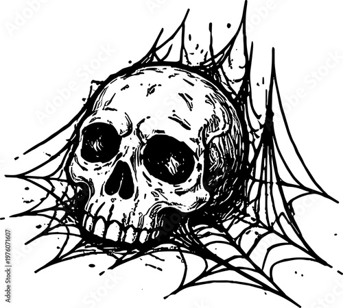 Spooky skull entangled in a detailed, artistic spiderweb illustration