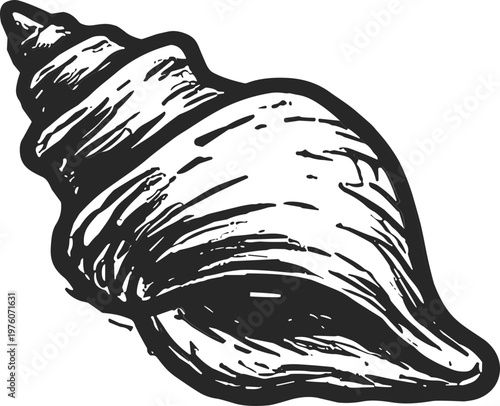 Detailed sketch of a spiral seashell, a natural marine object with intricate patterns