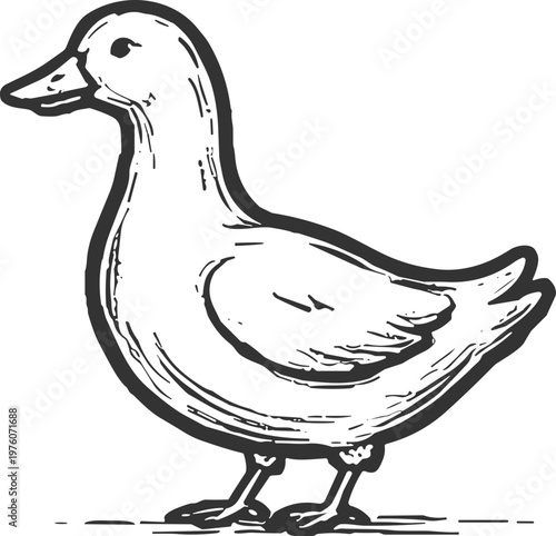 Whimsical hand-drawn duck illustration with a charming, rustic aesthetic