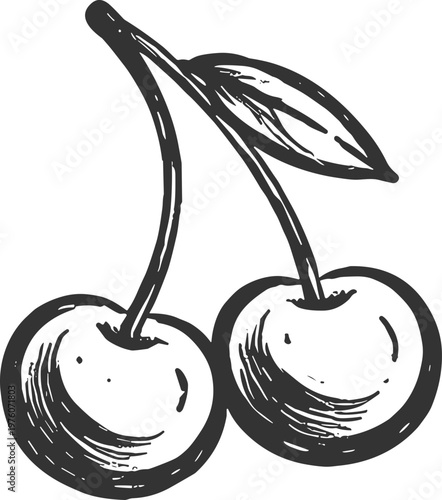 Hand-drawn sketch of two ripe cherries with a single leaf on a stem