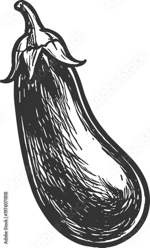 Hand-drawn sketch of a ripe eggplant with detailed texture and shading