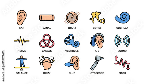 Illustrated icons representing ear anatomy and hearing concepts