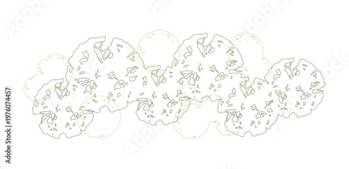 Trees for urban planning and architectural plans. Outline vector for landscape design and exterior entourage.