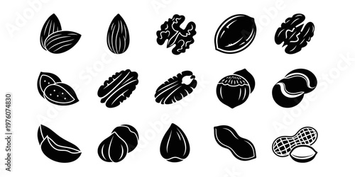 Black and white illustration of various nuts and seeds collection