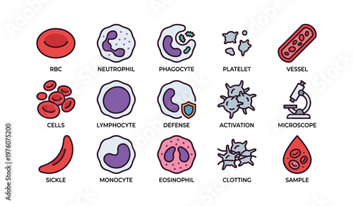 Illustrated human blood components and functions: cells, defense, activation, clotting, samples
