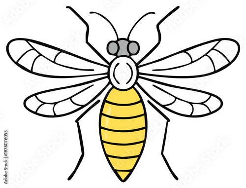 Cartoon Insect Illustration with Yellow Abdomen and Transparent Wings Depicted on White Background