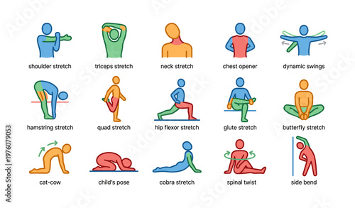 Illustrated guide to full-body stretches including yoga poses and dynamic exercises
