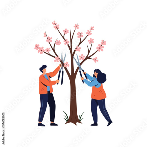 Couple pruning cherry blossom tree in flat colorful illustration for gardening