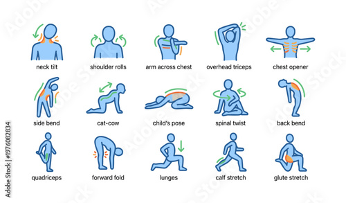 Illustrated guide to common stretching exercises