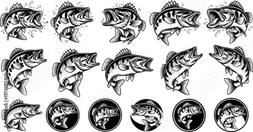 Set of Bass Fish Illustrations in Different Poses for Fishing, Wildlife, and Nature-Themed Graphics