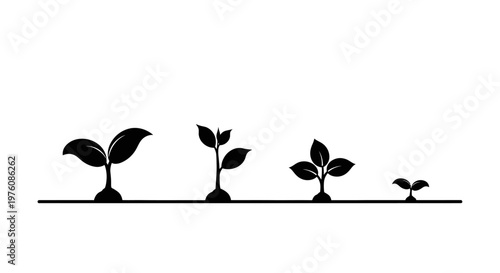 Illustration of four seedlings in different stages of growth, symbolizing development and progress.