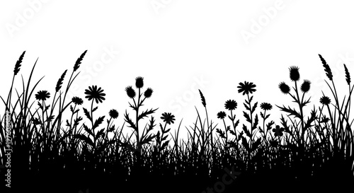 Silhouette of wild grasses and flowers against a white background, showcasing a natural meadow scene.