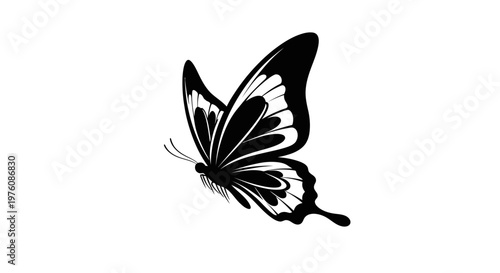 A striking black and white illustration of a butterfly in flight, showcasing its intricate wing patterns against a clean white background.