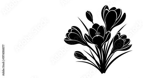 Canvas Print A striking black and white silhouette of a cluster of blooming crocuses with several buds, showcasing delicate petals and slender leaves against a clean white background