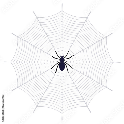 Spider and spiderweb illustration. Halloween concept. Vector graphic of the creepy arachnid.