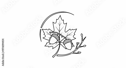 Line art of a maple leaf with acorns and a sprig of berries enclosed in a circle