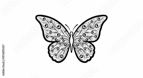 Intricate butterfly illustration with detailed feather-like patterns