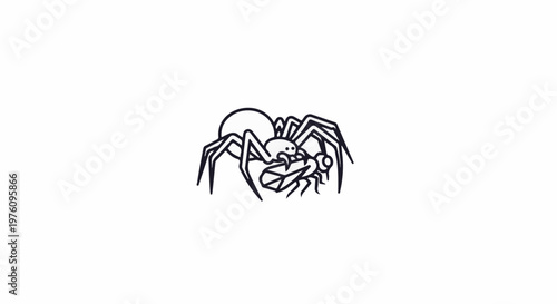 Line art illustration of a spider catching and eating a fly