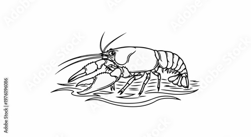 Line art illustration of a crawfish on wavy lines in water