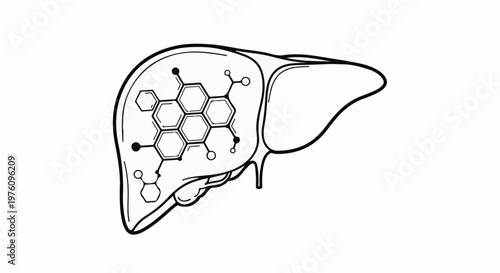 Line art illustration of a liver containing a molecular structure