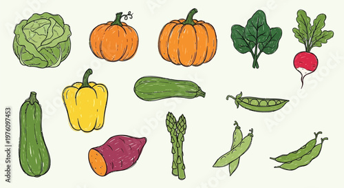 A vibrant collection of fresh, colorful vegetables, including pumpkins, cabbage, peppers, zucchini, sweet potatoes, asparagus, spinach, and peas, arranged artfully on a light background.