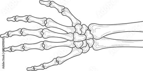 Adobe Illustrator Artwork