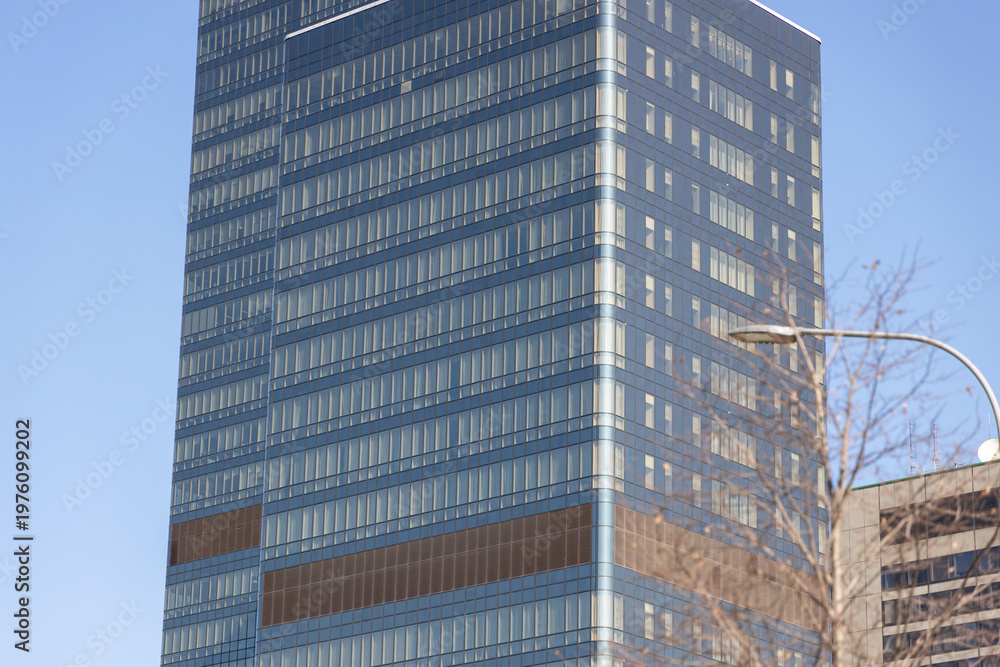 Obraz premium Modern office building facade with glass windows and tree branches in foreground
