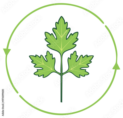 Organic Green Leaf Plant in Circular Arrow Pattern, Sustainability and Environmental Recycling, Vegan Natural Food Ingredient