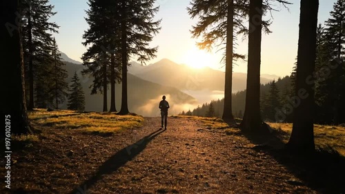 Hiker in sunrise forest landscape.