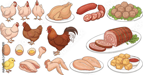 Chicken Meat and Poultry Food Set Featuring Whole Chicken Eggs Sausages Meat Cuts and Prepared Dishes in Detailed Farm to Table Vector Illustration Collection