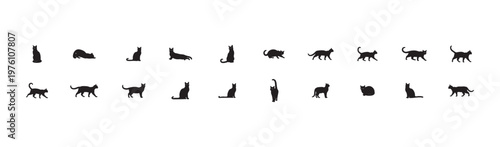 Photography Black cats icon collection. Isolated on White background.