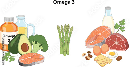 Omega 3 Rich Food Sources Illustration Featuring Fish Avocado Nuts Eggs and Healthy Oils in Detailed Nutritional Vector Collection Design