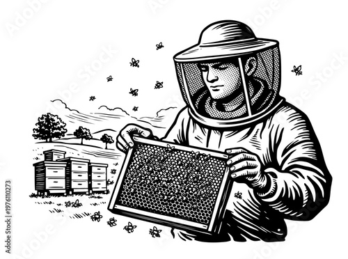 Hand drawn beekeeper holding honeycomb frame. Vintage apiary scene with beehives and flying bees. Vector black ink outline illustration in engraving style, beekeeping process concept for honey packagi