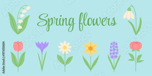 Cute spring flowers collection with lettering. Flat vector illustration of lily of the valley, snowdrop, tulip, crocus, chamomile, narcissus, hyacinth and peony. Colorful botanical set. Hand drawn.