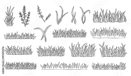 Wild grass doodle vector set hand drawn herb blades organic garden botanical illustration