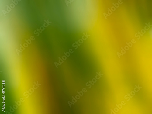 Top view abstract blurred green yellow color background texture design blank for text. Web background idea or illustration graphic, copy space, gradiant backdrop