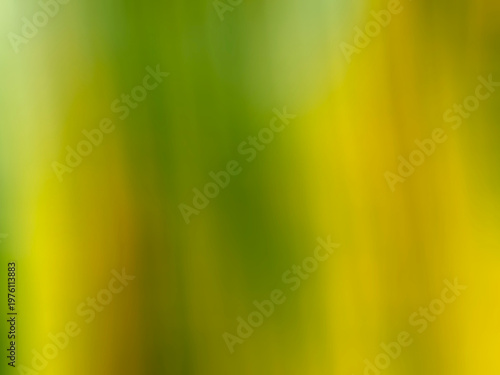 Top view abstract blurred green yellow color background texture design blank for text. Web background idea or illustration graphic, copy space, gradiant backdrop