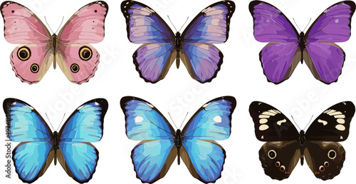 Vector Illustration of Six Colorful Butterfly Species with Vibrant Wings and Intricate Patterns for Nature and Wildlife Graphics