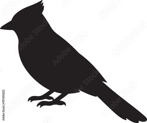 vector illustration of a blue jay