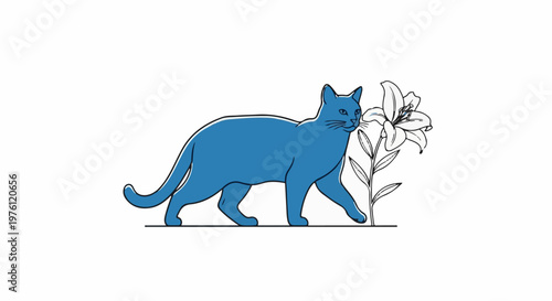 A blue cat walks by a delicate lily flower