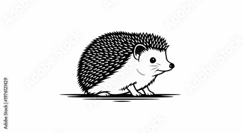 Black and white illustration of a cute hedgehog with spikes on its back