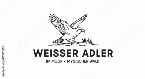 Illustration of a bird of prey with spread wings above text