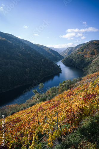 The Sil River meanders between hillsides covered in vineyards in A Ribeira Sacra
