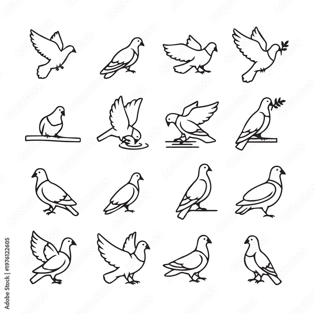 Fototapeta premium Doves in Various Poses and Actions Simple Line Art Style Isolated on White Background