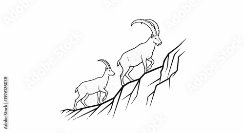 Two goats climbing a rocky slope