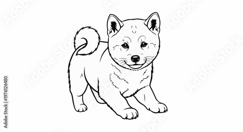 A playful black and white line drawing of a Shiba Inu puppy with curled tail