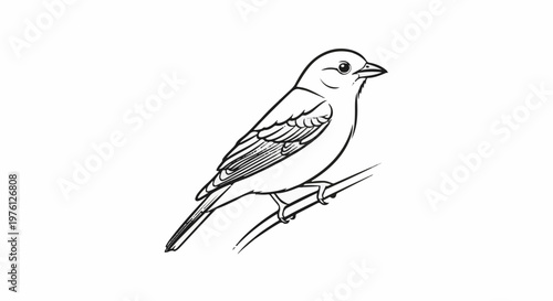 A simple line drawing of a bird perched on a thin branch